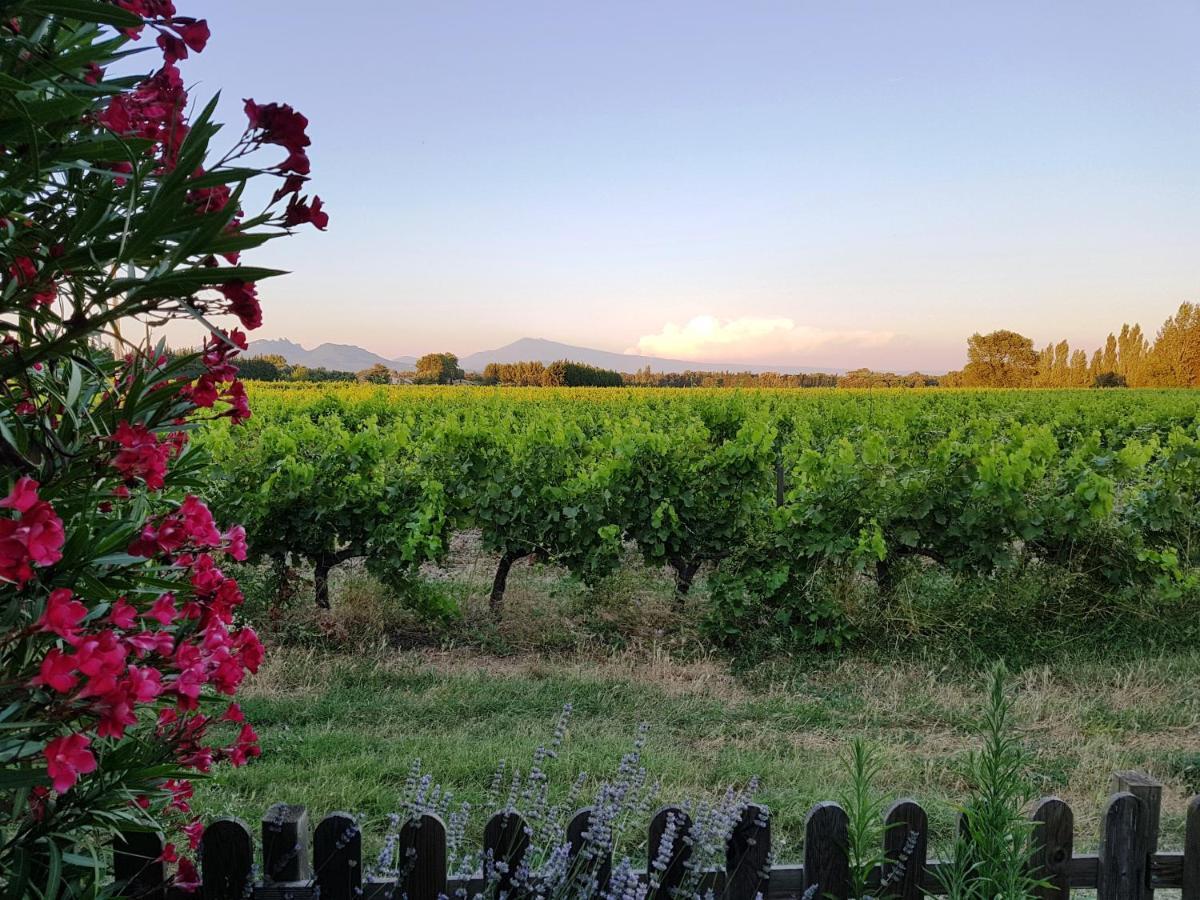 Mas Du Clos De L'Escarrat Jonquieres  Dış mekan fotoğraf