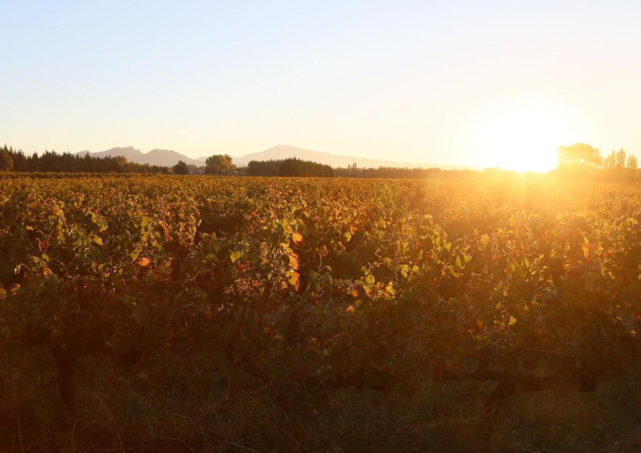 Mas Du Clos De L'Escarrat Jonquieres  Dış mekan fotoğraf