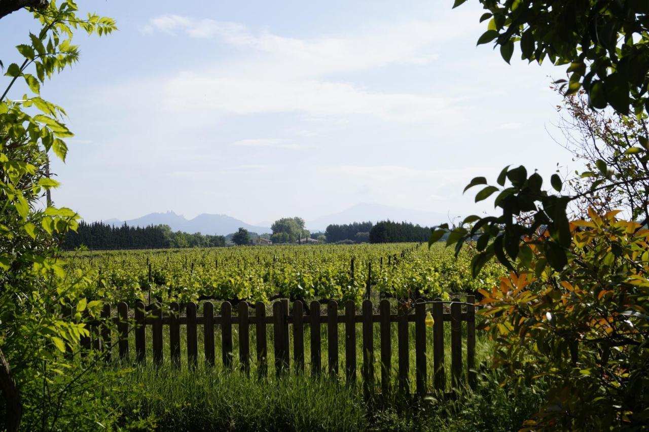 Mas Du Clos De L'Escarrat Jonquieres  Dış mekan fotoğraf