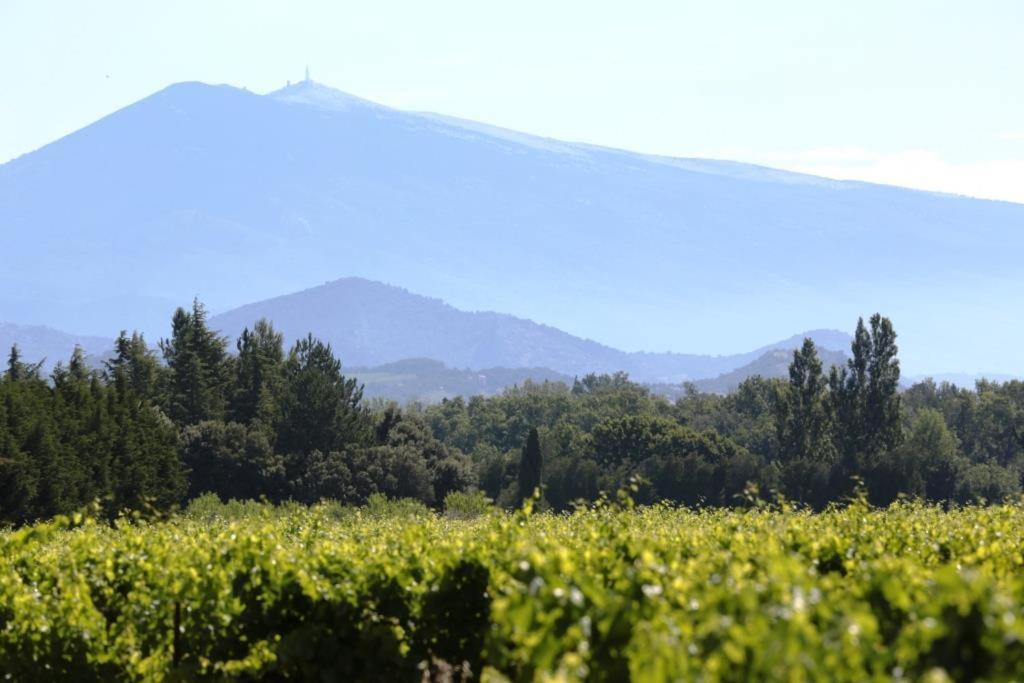 Mas Du Clos De L'Escarrat Jonquieres  Dış mekan fotoğraf