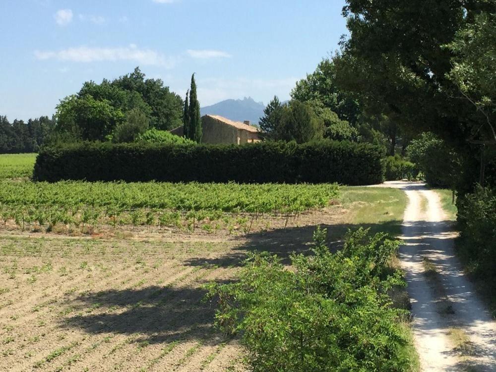 Mas Du Clos De L'Escarrat Jonquieres  Dış mekan fotoğraf